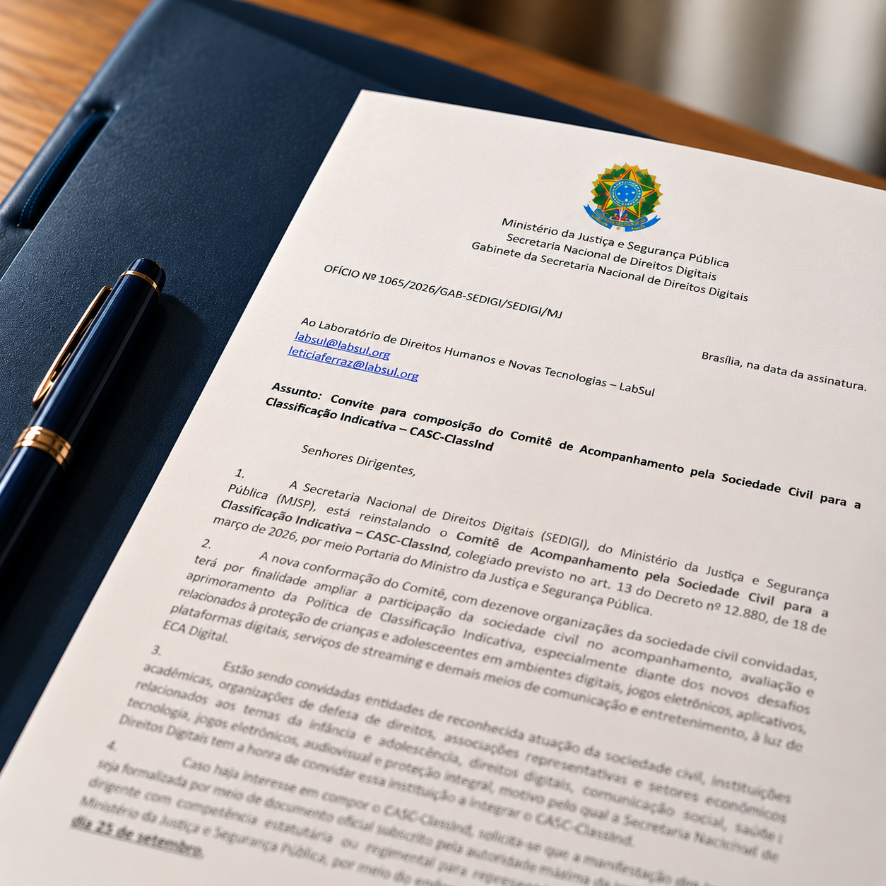 LABSUL JOINS THE MONITORING COMMITTEE FOR THE CONTENT RATING POLICY